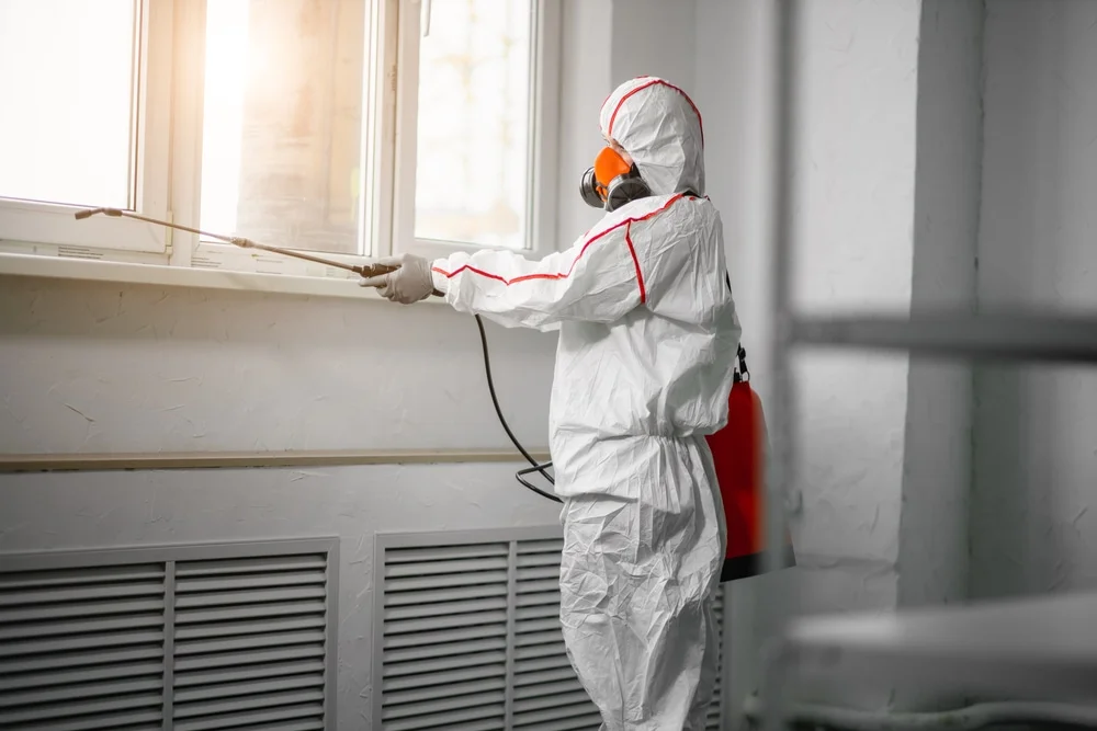 Professional mold remediation services in Cisco, UT